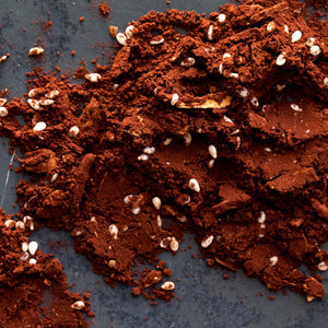 Mayan Cocoa