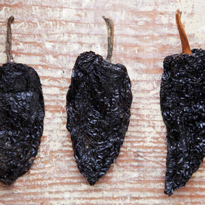 Mulato Chile
