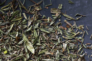 Winter Savory